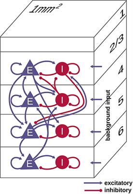 Performance Comparison of the Digital Neuromorphic Hardware SpiNNaker and the Neural Network Simulation Software NEST for a Full-Scale Cortical Microcircuit Model